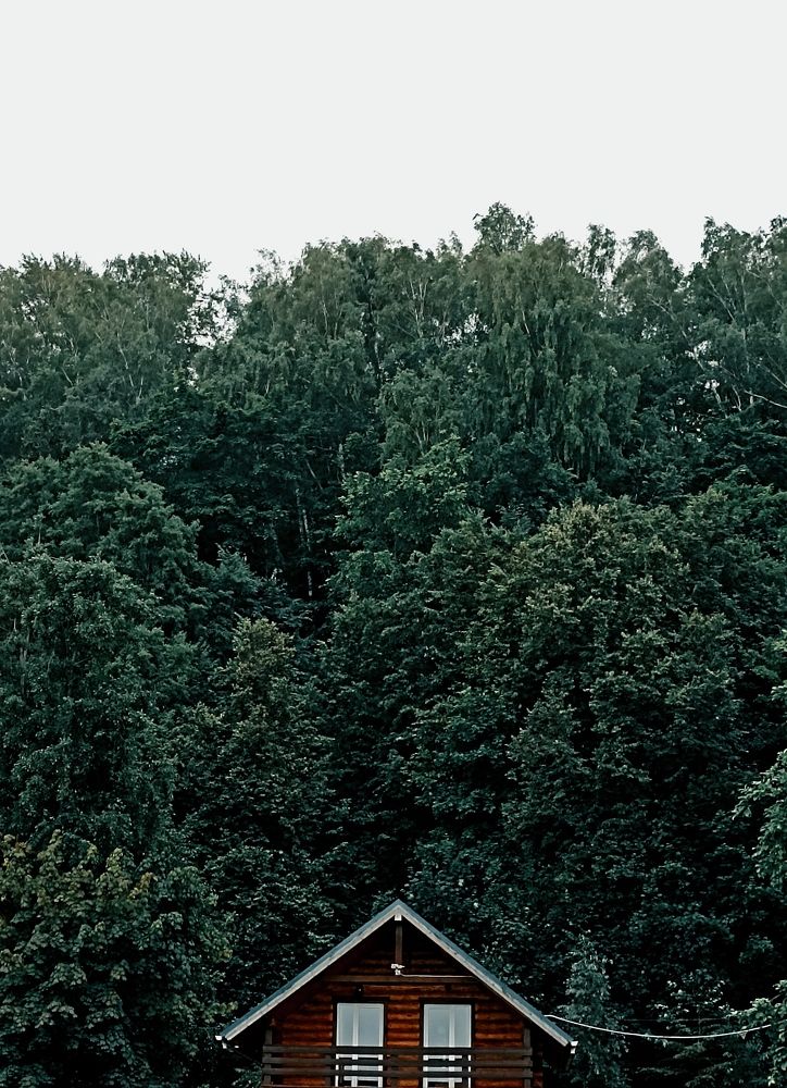 Photograph by Анастасия