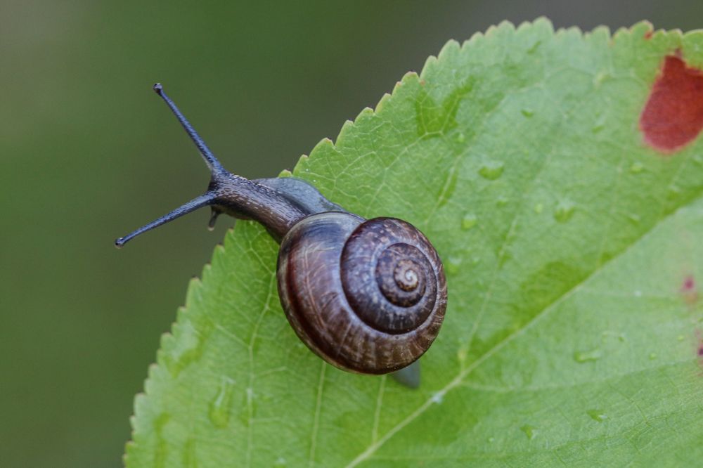 Photograph by Надежда Зайцева