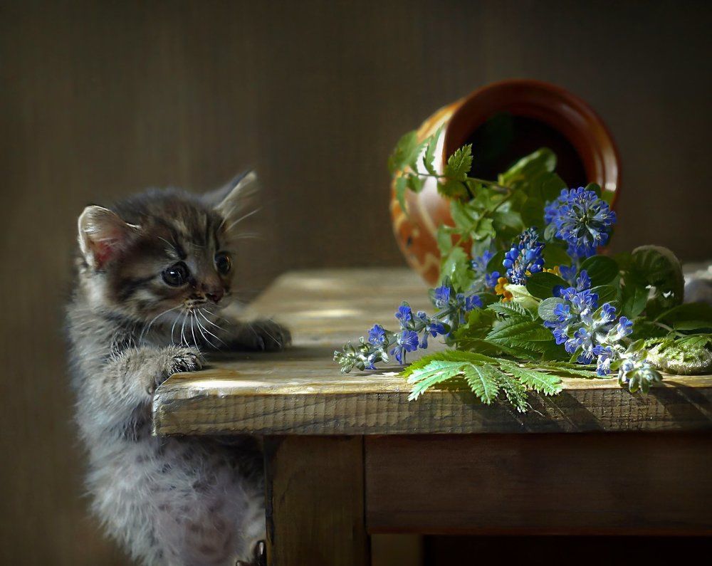 Я тоже хочу сниматься