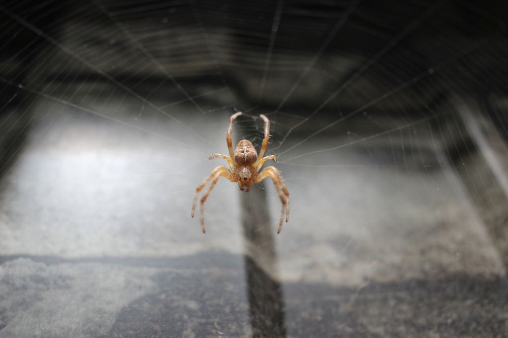 Photograph by Марина Евграфова