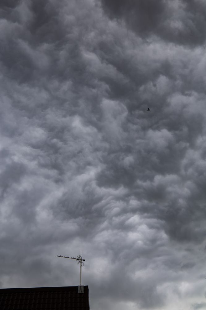 Перед дождём