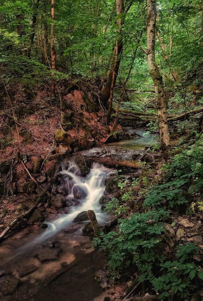 Фотография автора Alexander Gordon