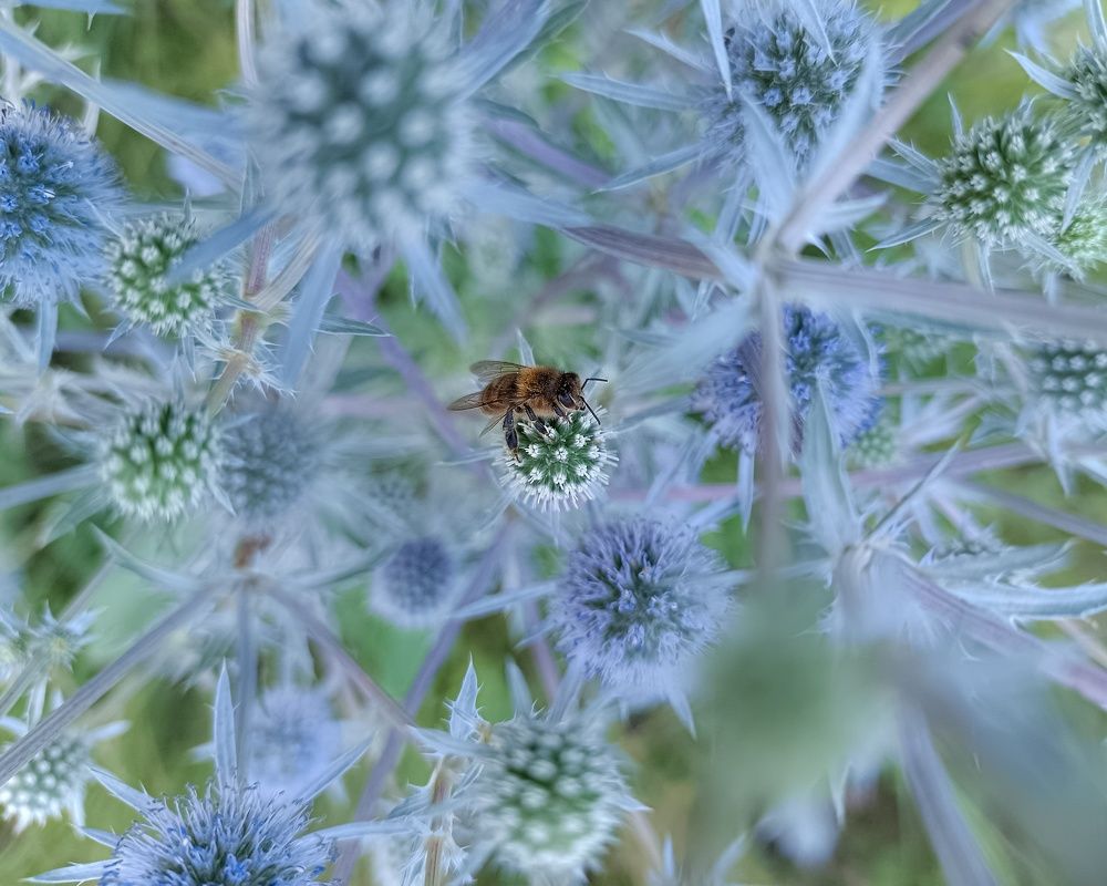 Photograph by Светлана Кондрашова