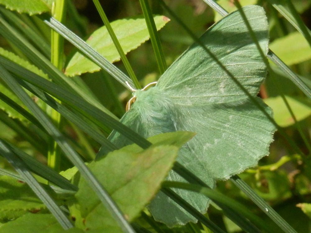 Photograph by Георгий Салюков