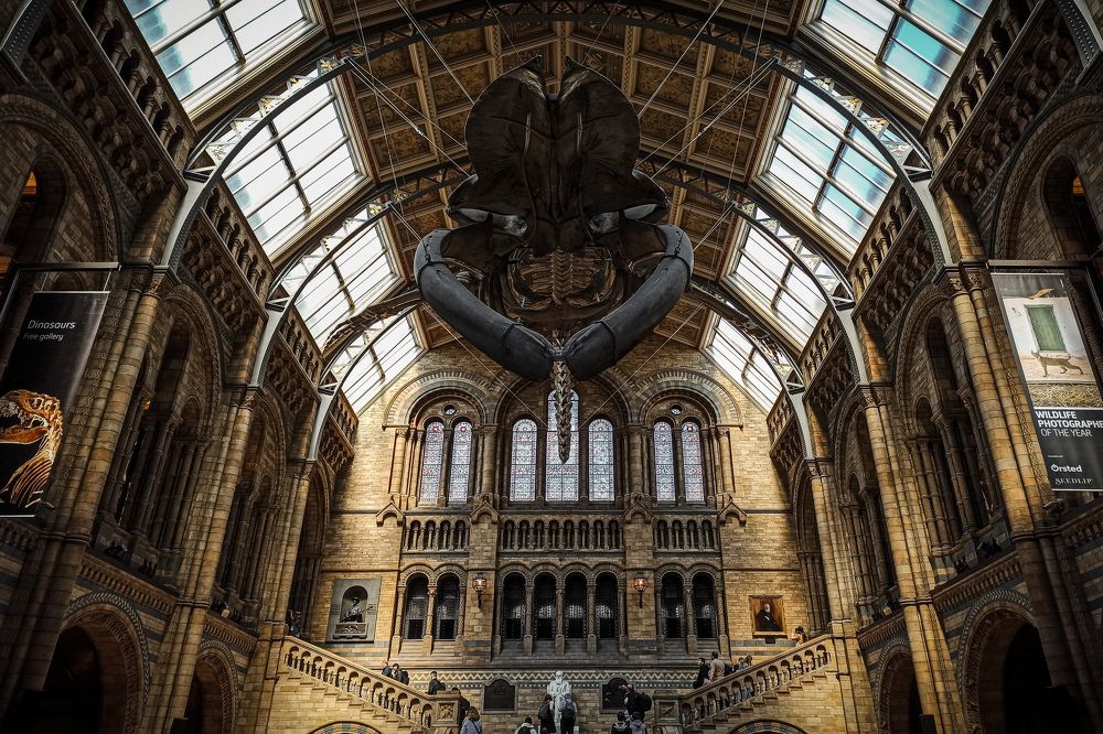 Photograph by Sergejs Barkans