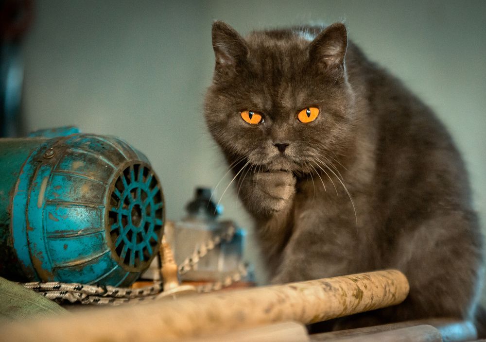 Photograph by Наталия