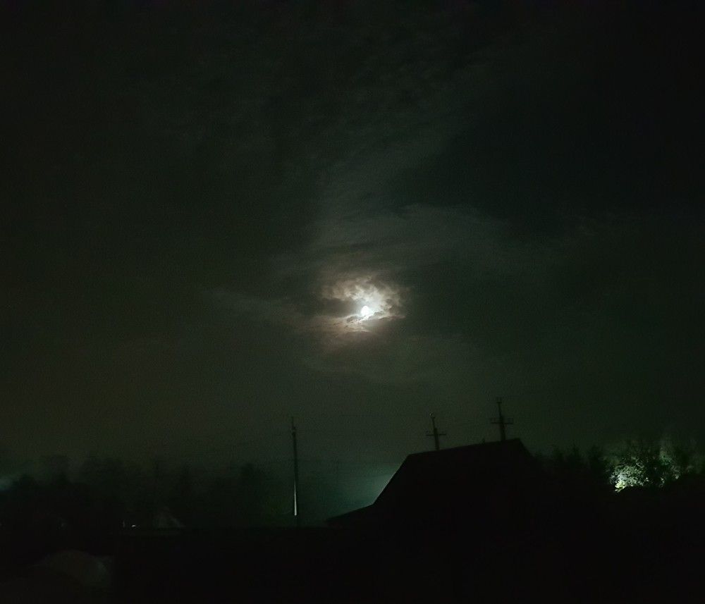 Photograph by Nataliya Kalinina