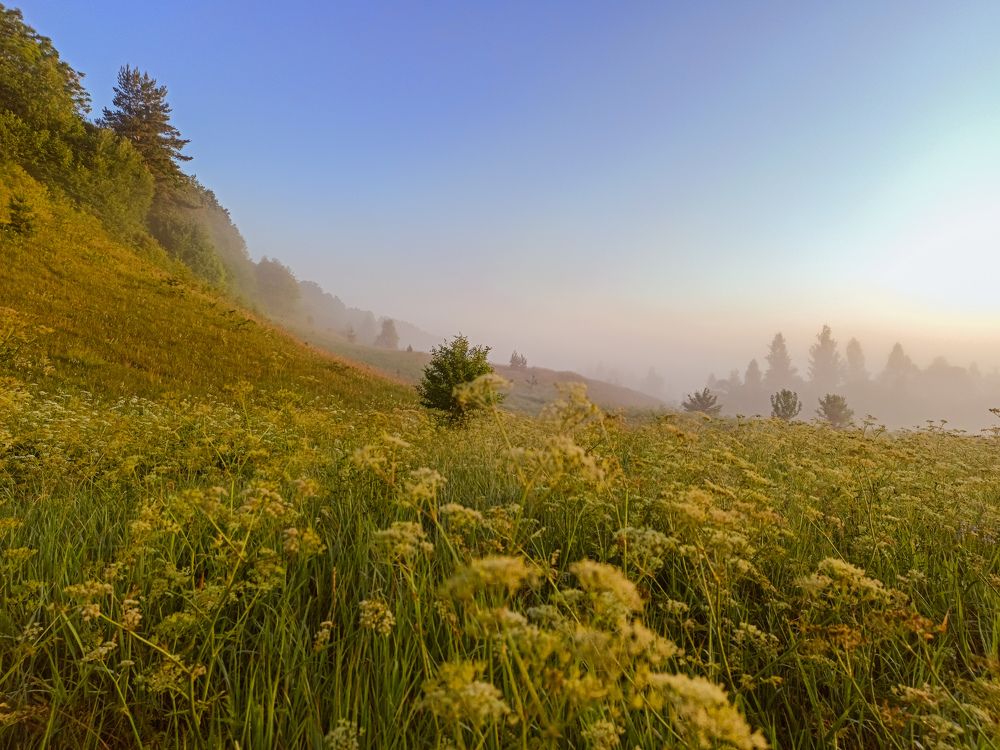 Фотография автора Alexander Gordon