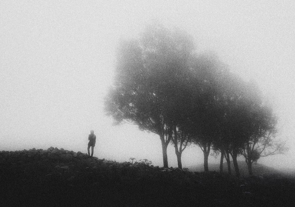 Photograph by Riahi Hosein