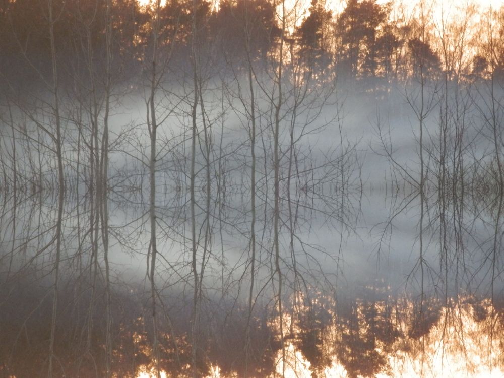 Photograph by Георгий Салюков