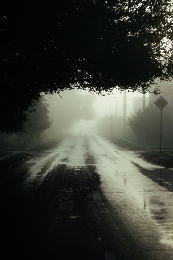 Photograph by Василий Николаев