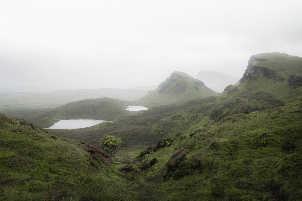 Photograph by Ангелина