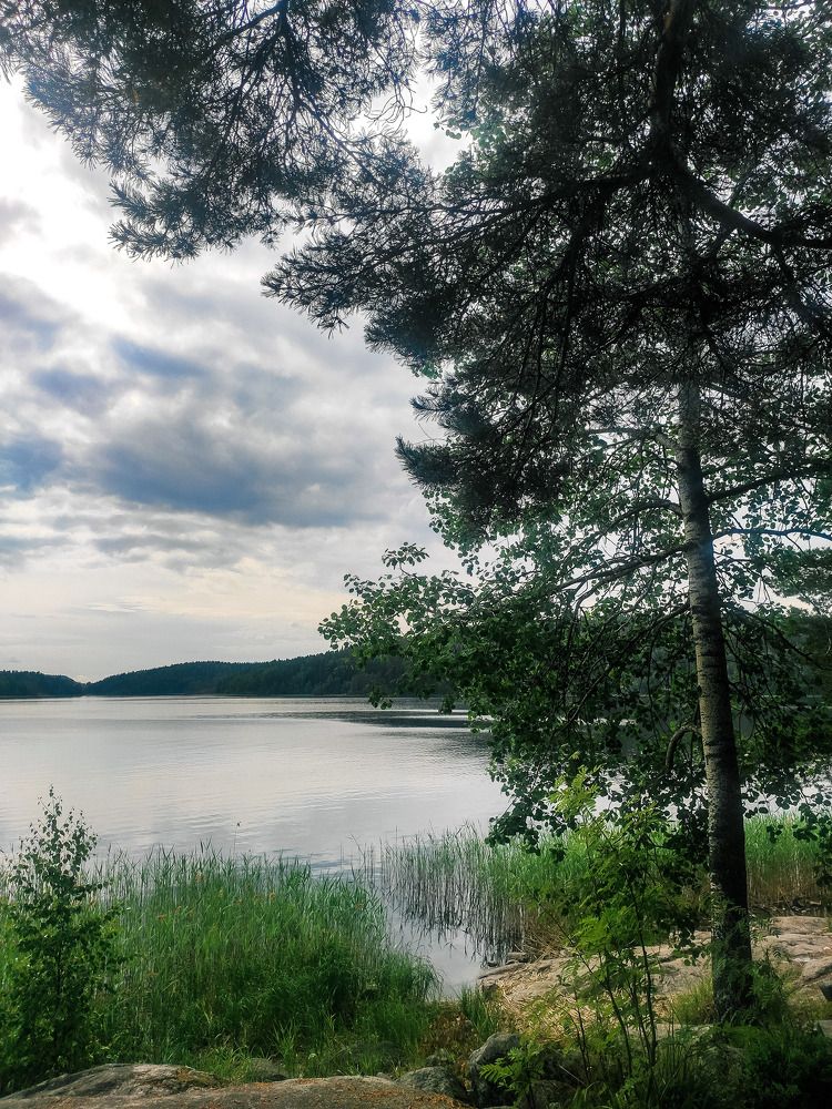 Photograph by Надежда Сидорова