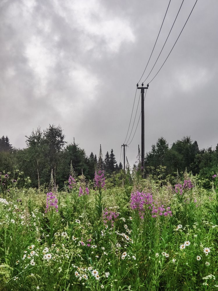 Photograph by Надежда Сидорова