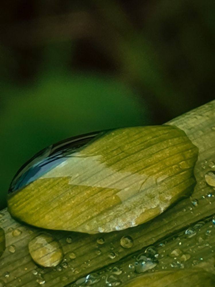 Photograph by Ольга Власова