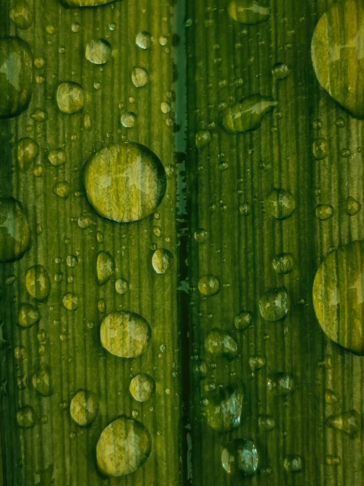 Photograph by Ольга Власова