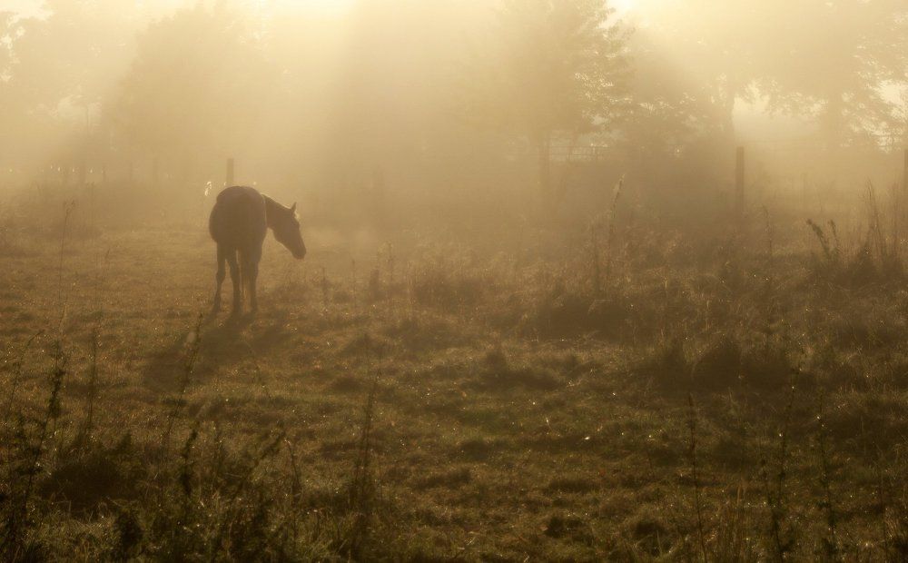 Фотография автора Александр
