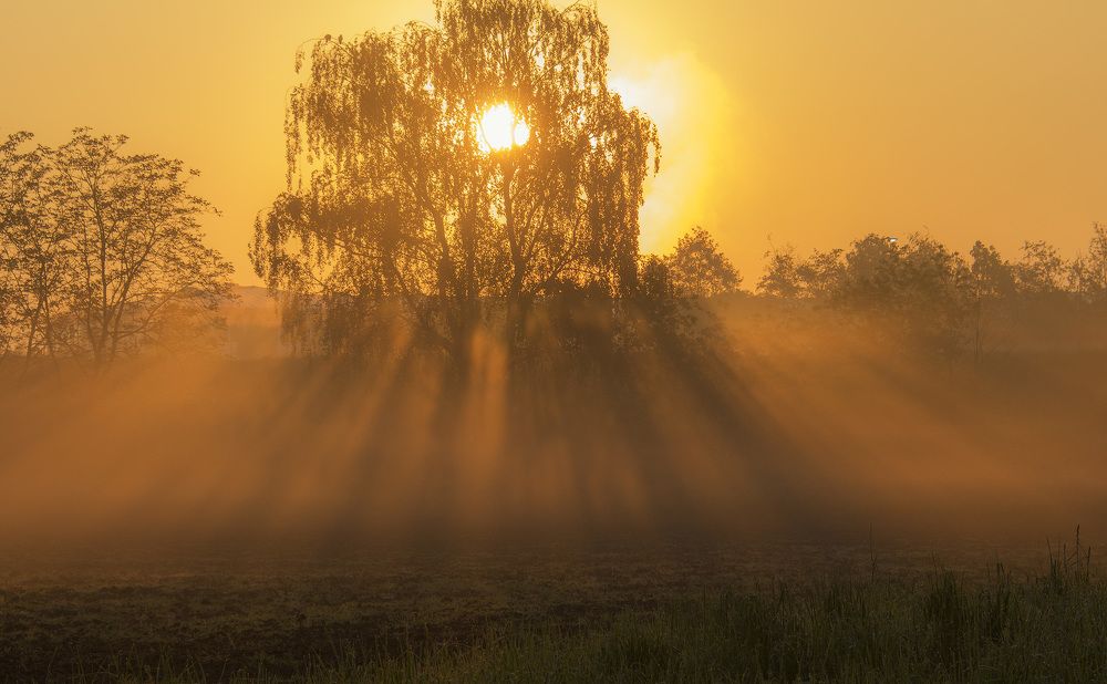 Фотография автора Александр