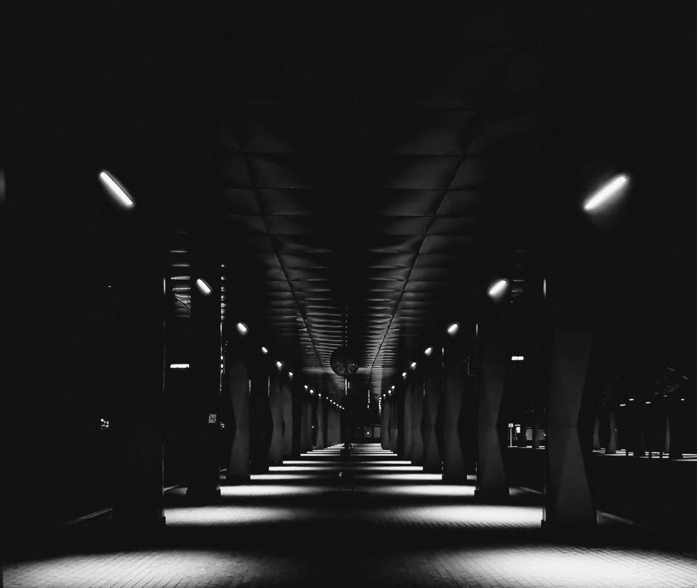 Photograph by Алексей Потапахин