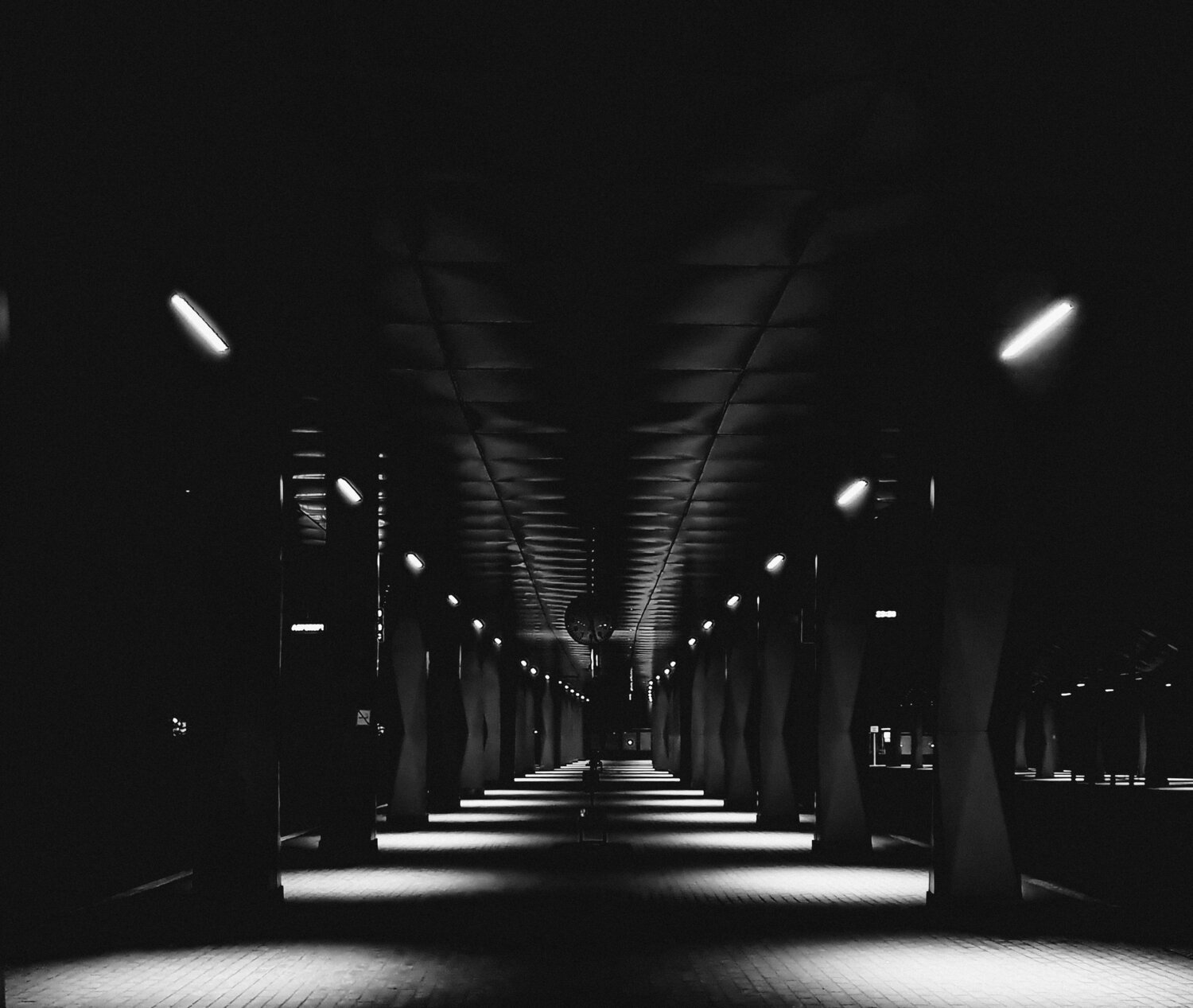 Photo #9302937
