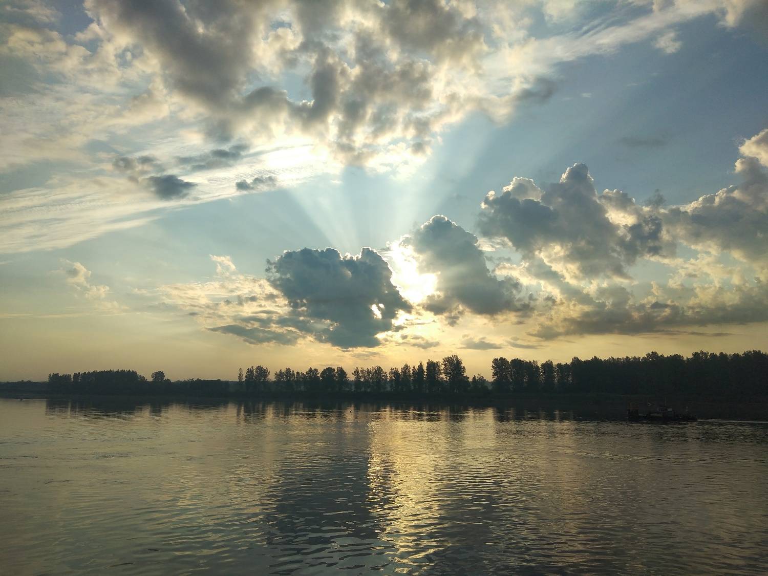 Photo #9303019