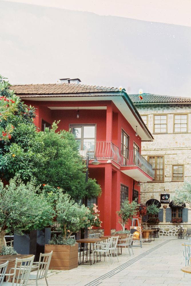 Photograph by Alp Aysgl