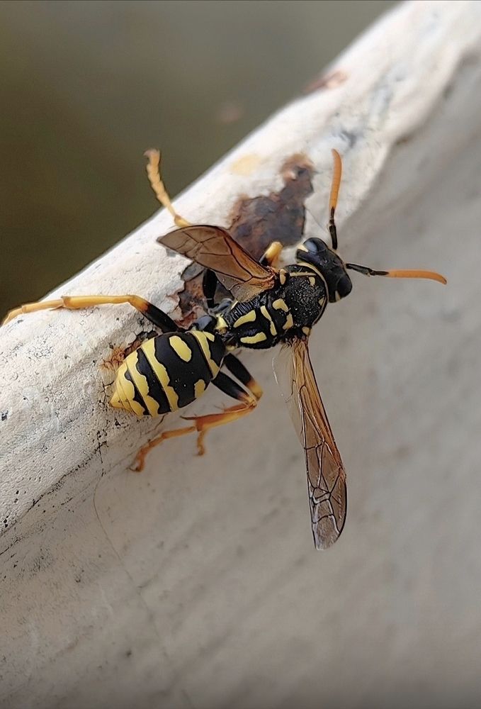 Photograph by Ирина