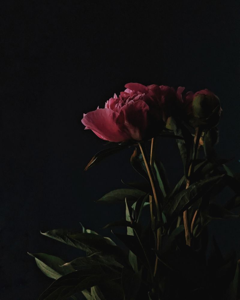 Photograph by Татьяна Никифорова