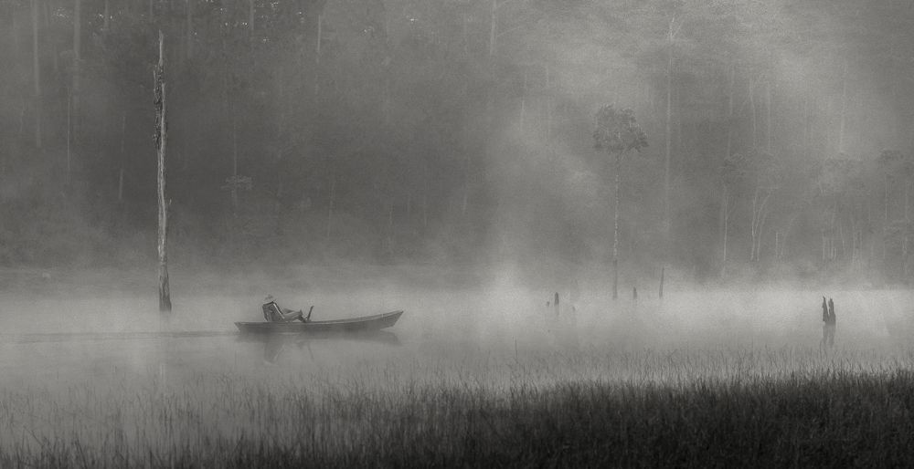 Фотография автора Dang Le