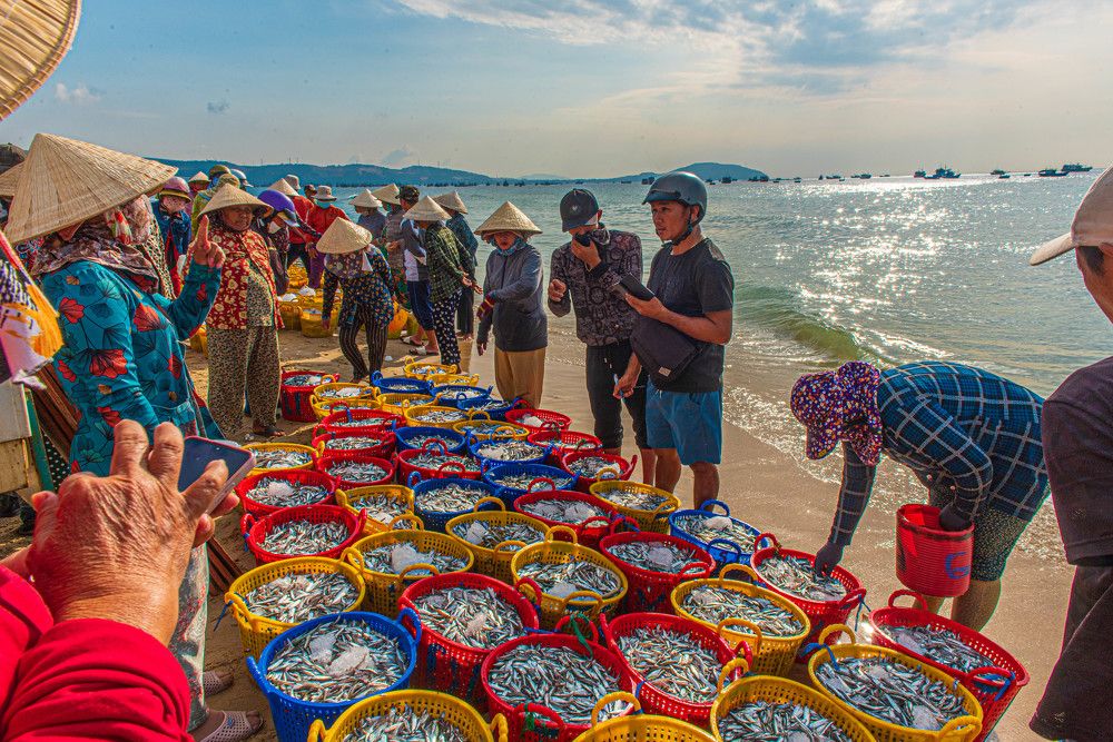 Photograph by Sơn Hoàng