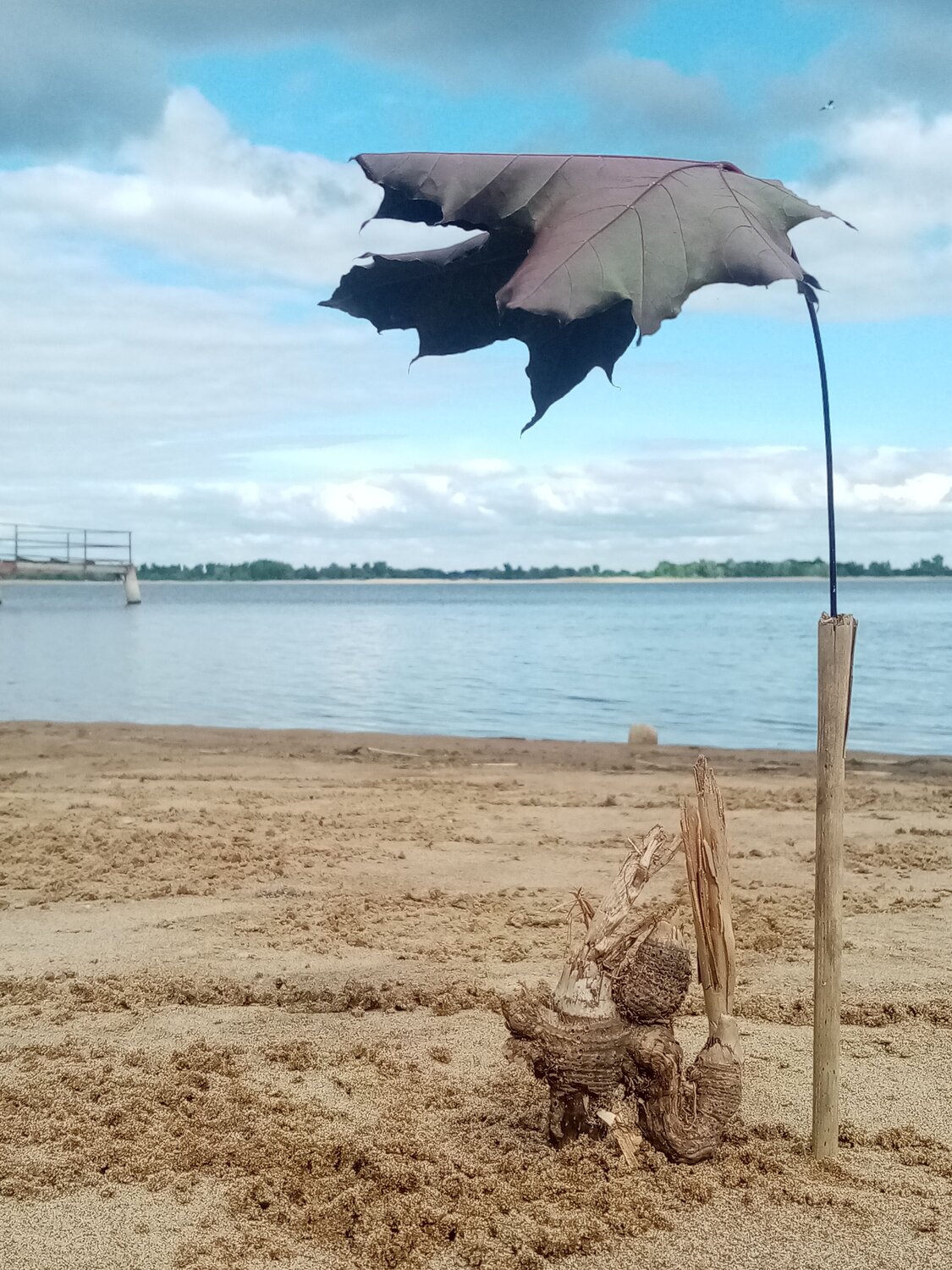 Photo #9303247