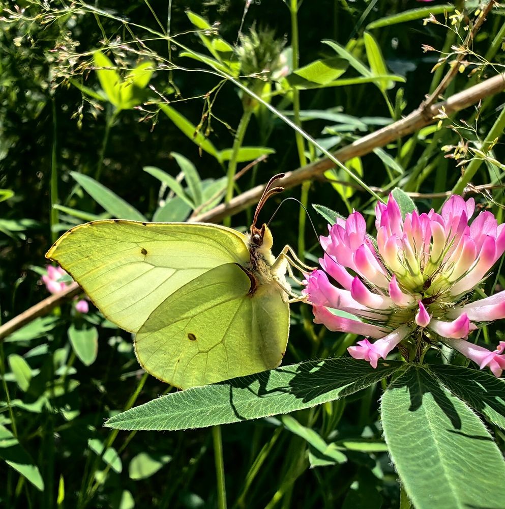 Photograph by Анна