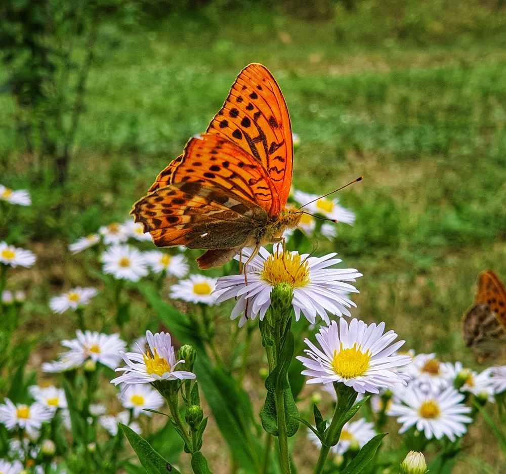 Photograph by Татьяна Мельникова