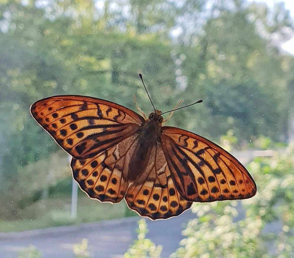 Photograph by Татьяна Мельникова