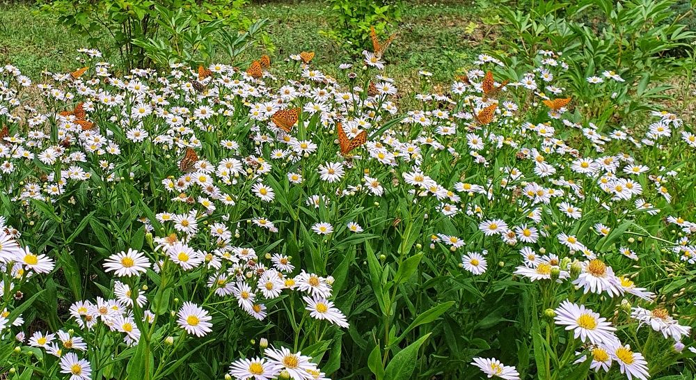 Photograph by Татьяна Мельникова