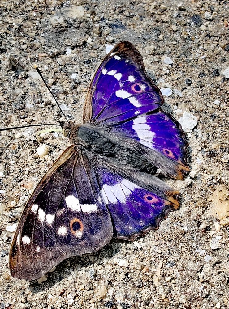 Photograph by Анна