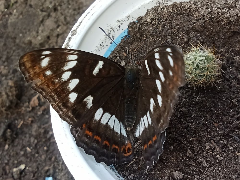 Photograph by Надежда Рулькова