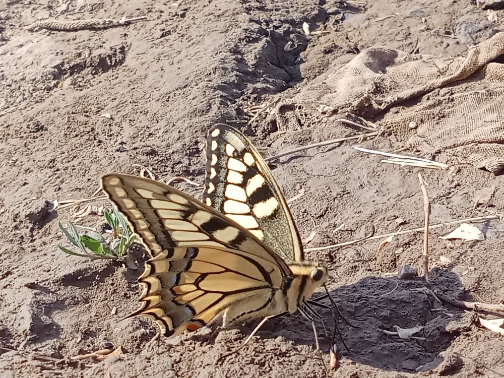 Photograph by Надежда Рулькова