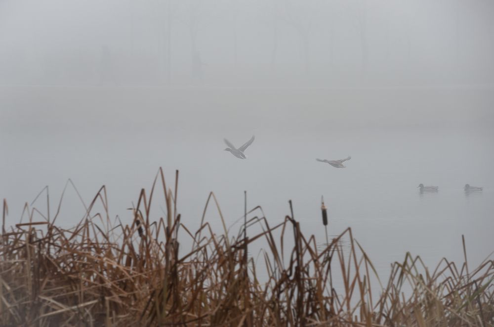 Photograph by Valery Kleymenov