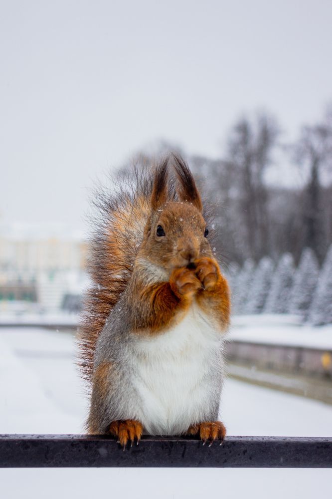 Фотография автора Таисия