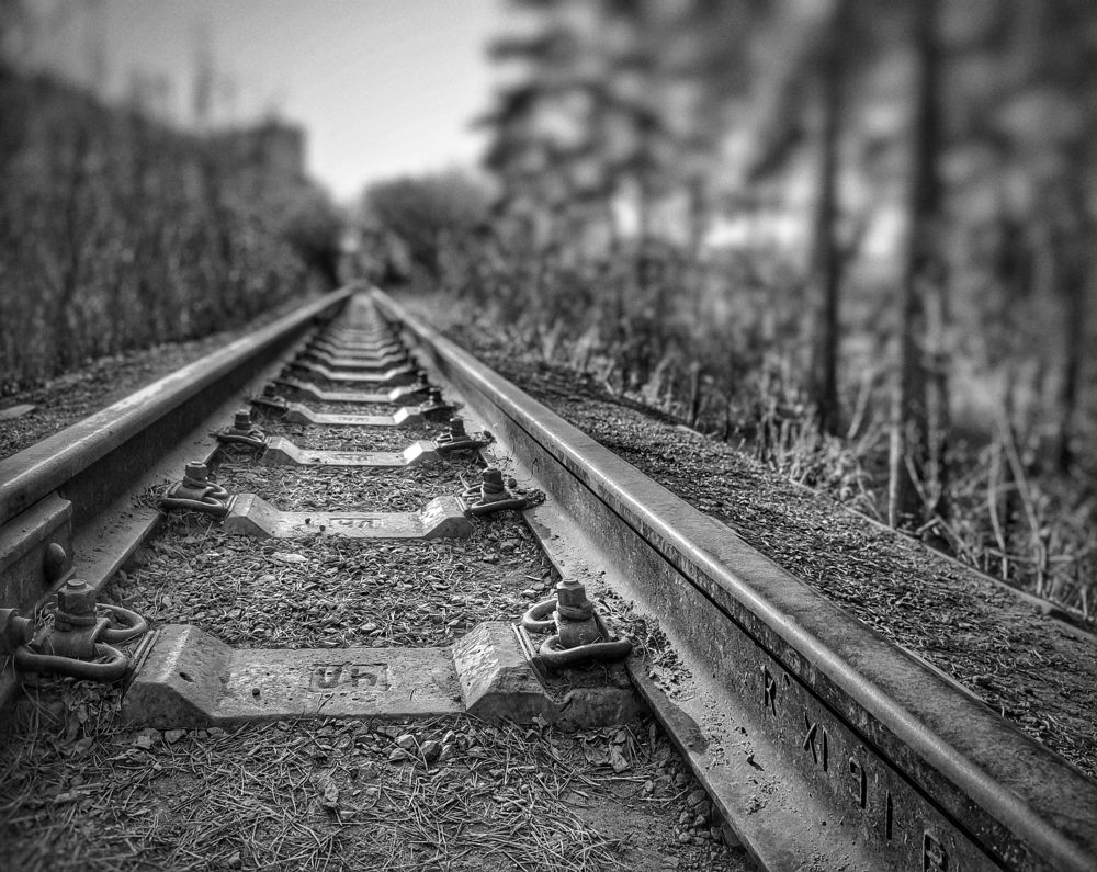 Photograph by Nailgiano Ricci