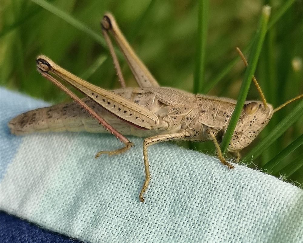 Фотография автора Rasa Zdaniene