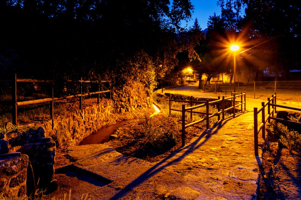 Photograph by Borsan Claudiu Valentin