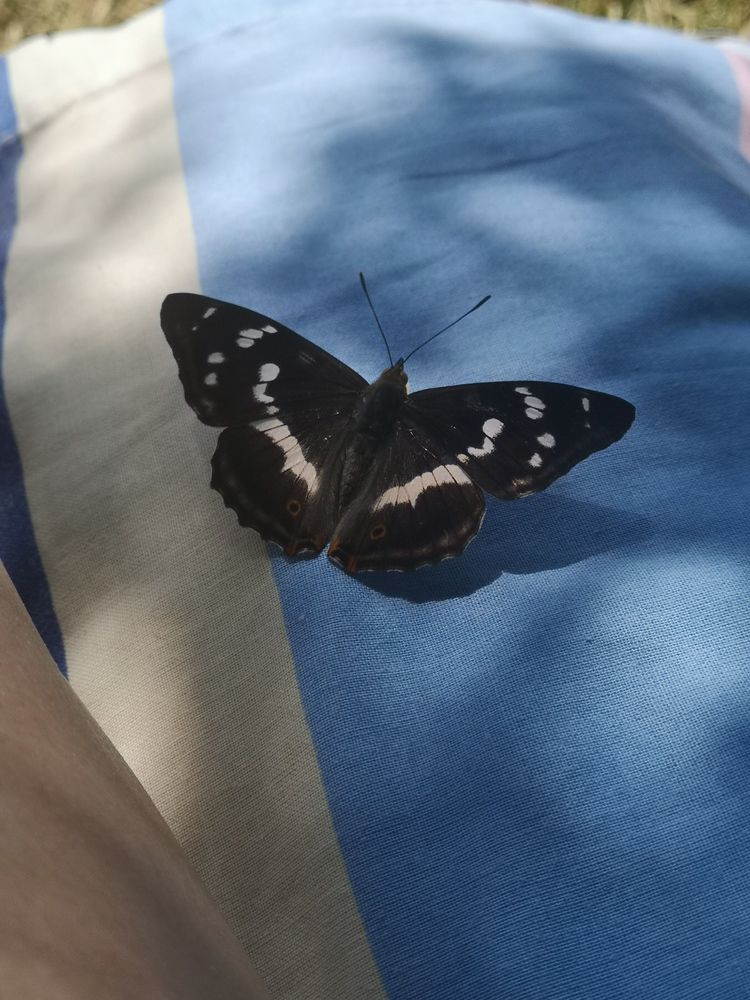 Фотография автора Rasa Zdaniene