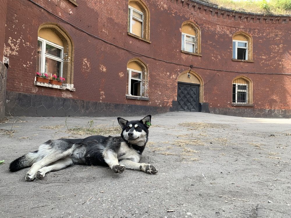 Photograph by Nadezhda Bakina