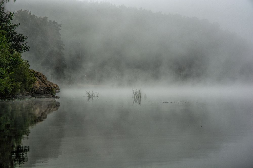 Photograph by Сергей Шварцман