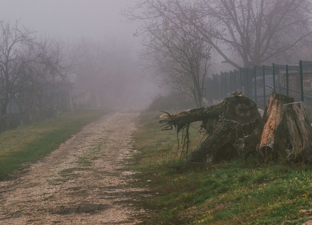 Фотография автора Vladimir Nikolov
