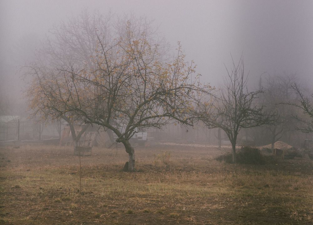 Фотография автора Vladimir Nikolov