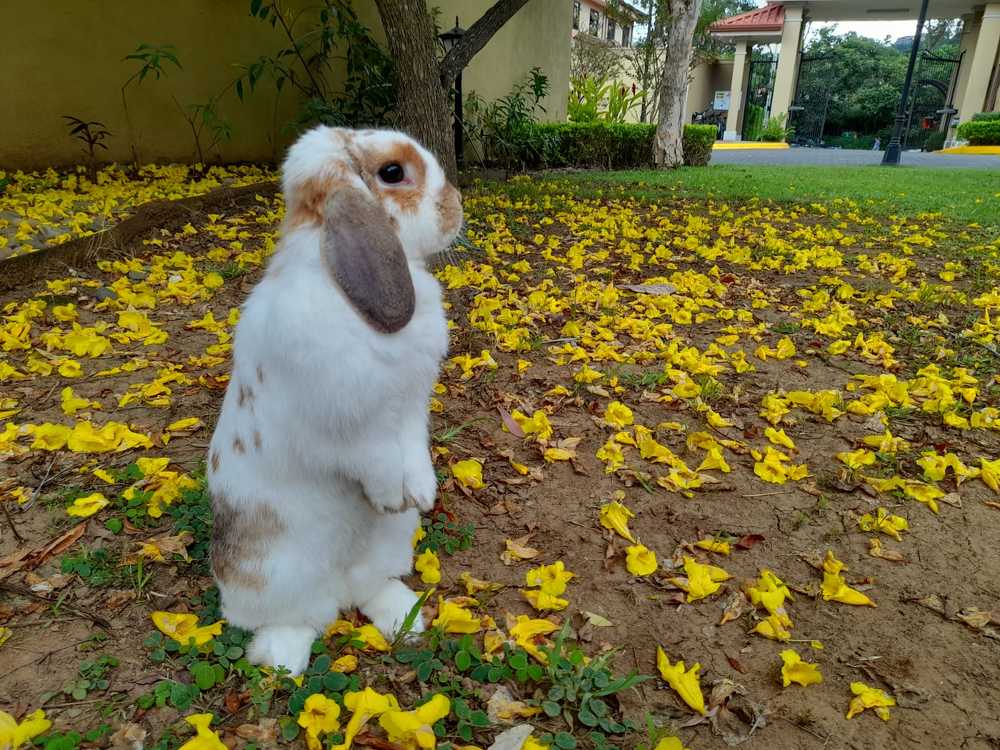 Photograph by Virginia Azocar