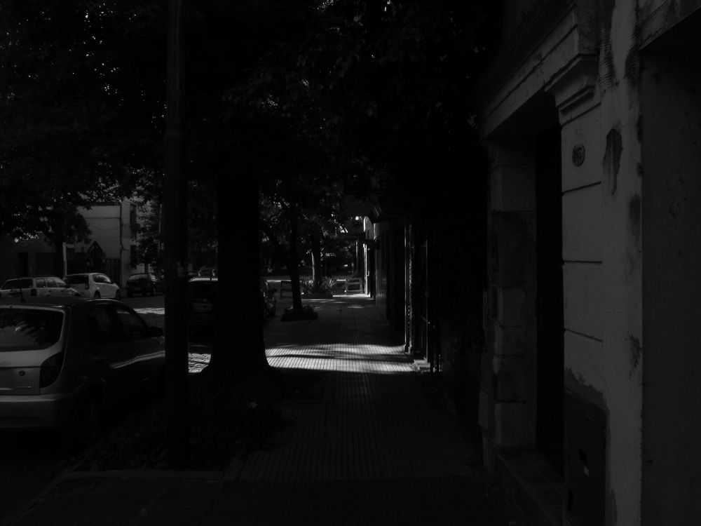 Фотография автора Ileana Andrea Gavinoser